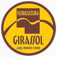 Floricultura-Girassol-em-Dois-Vizinhos-200x200-1